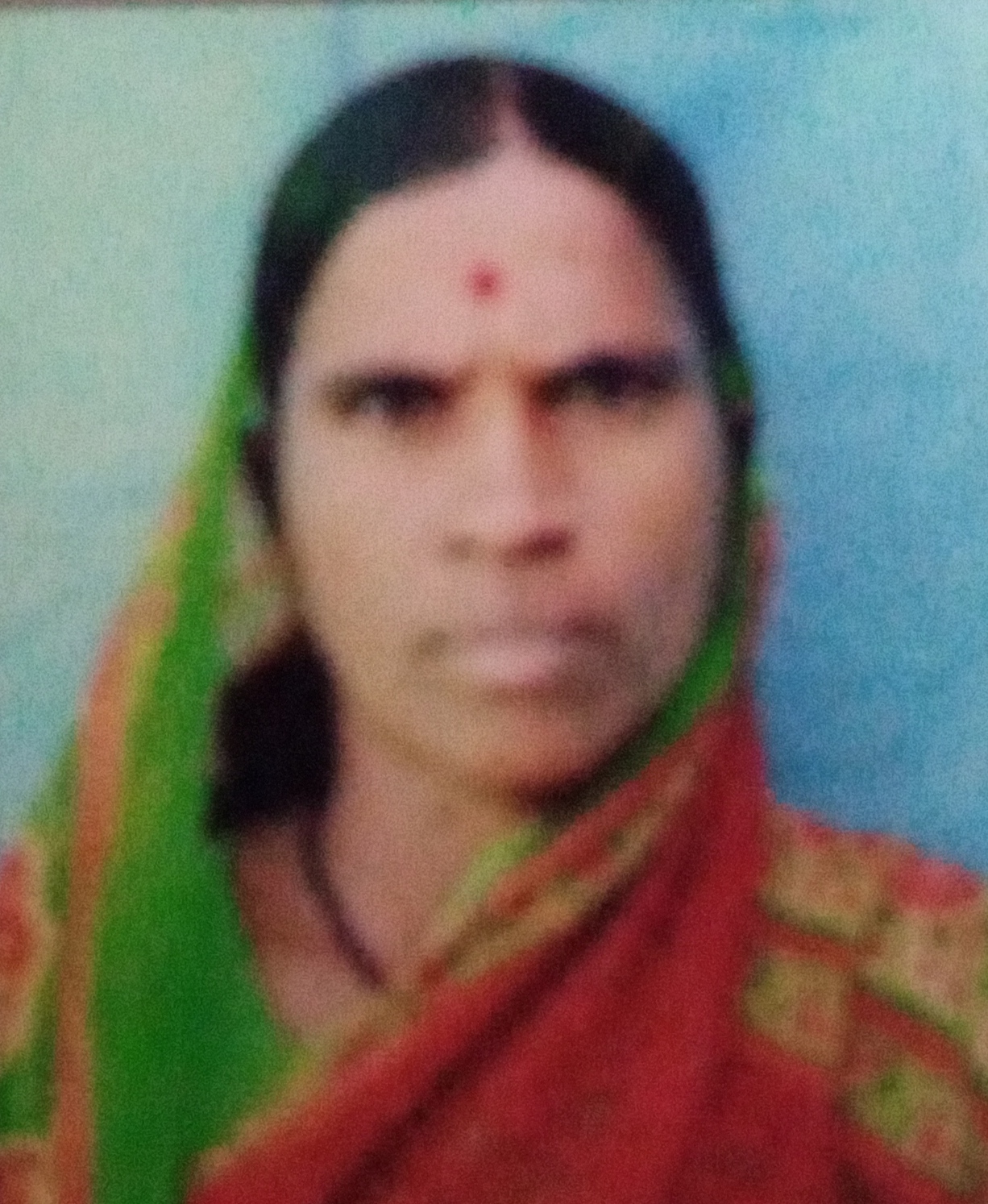 सदस्य